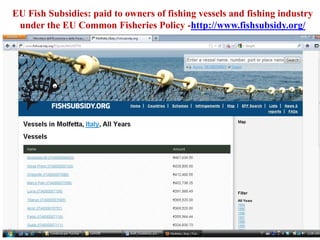 EU Fish Subsidies: paid to owners of fishing vessels and fishing industry
 under the EU Common Fisheries Policy -http://www.fishsubsidy.org/
 