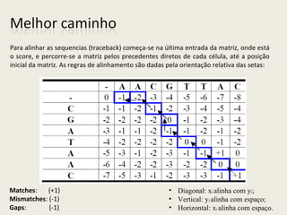 Matches: (+1)
Mismatches: (-1)
Gaps: (-1)
Para alinhar as sequencias (traceback) começa-se na última entrada da matriz, onde está
o score, e percorre-se a matriz pelos precedentes diretos de cada célula, até a posição
inicial da matriz. As regras de alinhamento são dadas pela orientação relativa das setas:

• Diagonal: xi alinha com yi;
• Vertical: yi alinha com espaço;
• Horizontal: xi alinha com espaço.
 