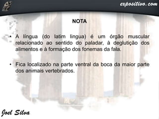 NOTA
• A língua (do latim lingua) é um órgão muscular
relacionado ao sentido do paladar, à deglutição dos
alimentos e à formação dos fonemas da fala.
• Fica localizado na parte ventral da boca da maior parte
dos animais vertebrados.
 