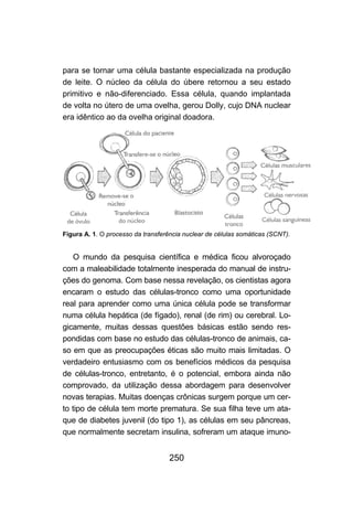 para se tornar uma célula bastante especializada na produção
de leite. O núcleo da célula do úbere retornou a seu estado
primitivo e não-diferenciado. Essa célula, quando implantada
de volta no útero de uma ovelha, gerou Dolly, cujo DNA nuclear
era idêntico ao da ovelha original doadora.




Figura A. 1. O processo da transferência nuclear de células somáticas (SCNT).


    O mundo da pesquisa científica e médica ficou alvoroçado
com a maleabilidade totalmente inesperada do manual de instru-
ções do genoma. Com base nessa revelação, os cientistas agora
encaram o estudo das células-tronco como uma oportunidade
real para aprender como uma única célula pode se transformar
numa célula hepática (de fígado), renal (de rim) ou cerebral. Lo-
gicamente, muitas dessas questões básicas estão sendo res-
pondidas com base no estudo das células-tronco de animais, ca-
so em que as preocupações éticas são muito mais limitadas. O
verdadeiro entusiasmo com os benefícios médicos da pesquisa
de células-tronco, entretanto, é o potencial, embora ainda não
comprovado, da utilização dessa abordagem para desenvolver
novas terapias. Muitas doenças crônicas surgem porque um cer-
to tipo de célula tem morte prematura. Se sua filha teve um ata-
que de diabetes juvenil (do tipo 1), as células em seu pâncreas,
que normalmente secretam insulina, sofreram um ataque imuno-


                                    250
 