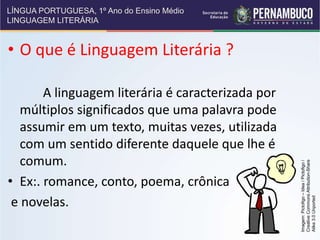 A linguagem literária..ppt