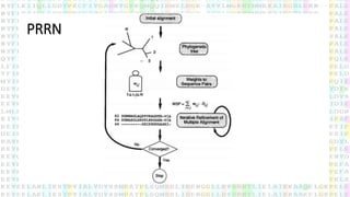PRRN
 