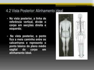 4.2 Vista Posterior: Alinhamento ideal
• Na vista posterior, a linha de
referência vertical, divide o
corpo em secções direita e
esquerda;
• Na vista posterior, o ponto
fica a meio caminho entre os
calcanhares e representa o
ponto básico do plano médio
sagital do corpo em
alinhamento ideal.
 