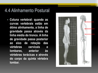 4.4 Alinhamento Postural
• Coluna vertebral: quando as
curvas vertebrais estão em
ótimo alinhamento, a linha de
gravidade passa através da
linha média do tronco. A linha
de gravidade passa posterior
ao eixo de rotação das
vértebras cervicais e
lombares, anterior às
vértebras torácicas e através
do corpo da quinta vértebra
lombar.
 