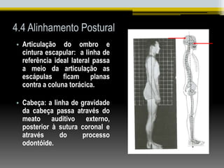 4.4 Alinhamento Postural
• Articulação do ombro e
cintura escapular: a linha de
referência ideal lateral passa
a meio da articulação as
escápulas ficam planas
contra a coluna torácica.
• Cabeça: a linha de gravidade
da cabeça passa através do
meato auditivo externo,
posterior à sutura coronal e
através do processo
odontóide.
 