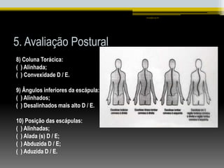 5. Avaliação Postural
8) Coluna Torácica:
( ) Alinhada;
( ) Convexidade D / E.
9) Ângulos inferiores da escápula:
( ) Alinhados;
( ) Desalinhados mais alto D / E.
10) Posição das escápulas:
( ) Alinhadas;
( ) Alada (s) D / E;
( ) Abduzida D / E;
( ) Aduzida D / E.
smaj@usp.br
 