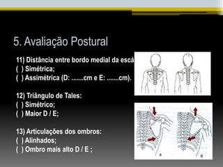 5. Avaliação Postural
11) Distância entre bordo medial da escápula e coluna vertebral:
( ) Simétrica;
( ) Assimétrica (D: .......cm e E: .......cm).
12) Triângulo de Tales:
( ) Simétrico;
( ) Maior D / E;
13) Articulações dos ombros:
( ) Alinhados;
( ) Ombro mais alto D / E ;
 