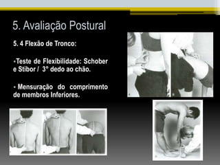 5. Avaliação Postural
5. 4 Flexão de Tronco:
•Teste de Flexibilidade: Schober
e Stibor / 3° dedo ao chão.
• Mensuração do comprimento
de membros Inferiores.
 