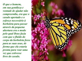 O que o homem, em sua gentileza e  vontade de ajudar não compreendia, era que o casulo apertado e o esforço necessário à borboleta para passar através da pequena abertura era o modo pelo qual Deus fazia com que o fluido do corpo da borboleta fosse para as suas asas, de forma que ela estaria pronta para voar uma vez que estivesse livre do casulo. 
