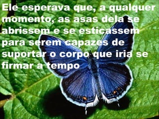 Ele esperava que, a qualquer
momento, as asas dela se
abrissem e se esticassem
para serem capazes de
suportar o corpo que iria se
firmar a tempo
 