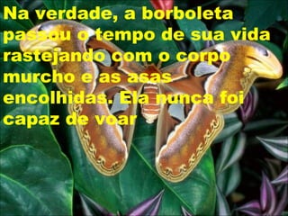 Na verdade, a borboleta
passou o tempo de sua vida
rastejando com o corpo
murcho e as asas
encolhidas. Ela nunca foi
capaz de voar
 