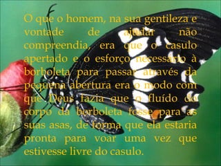 Eu pedi forças...
O que o homem, na sua gentileza e
vontade de ajudar não
compreendia, era que o casulo
apertado e o esforço necessário à
borboleta para passar através da
pequena abertura era o modo com
que Deus fazia que o fluído do
corpo da borboleta fosse para as
suas asas, de forma que ela estaria
pronta para voar uma vez que
estivesse livre do casulo.
 