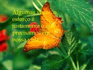 Algumas vezes, o
esforço é
justamente o que
precisamos em
nossa vida
 