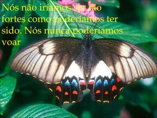 Nós não iríamos ser tão
fortes como poderíamos ter
sido. Nós nunca poderíamos
voar
 
