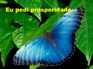 Eu pedi prosperidade...
 