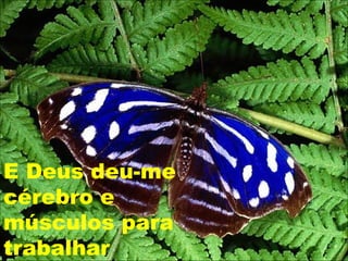 E Deus deu-me
cérebro e
músculos para
trabalhar
 