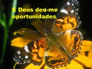 E Deus deu-me
oportunidades
 