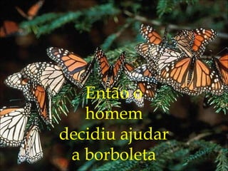 Então o
homem
decidiu ajudar
a borboleta
 