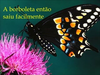 A borboleta então
saiu facilmente
 