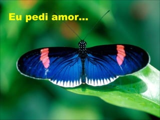 Eu pedi amor...
 