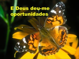 E Deus deu-me
oportunidades
 