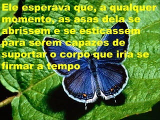 Ele esperava que, a qualquer
momento, as asas dela se
abrissem e se esticassem
para serem capazes de
suportar o corpo que iria se
firmar a tempo
 