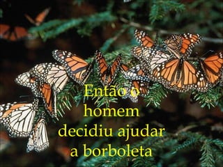 Então o
homem
decidiu ajudar
a borboleta
 