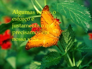 Algumas vezes, o esforço é justamente o que precisamos em nossa vida 
