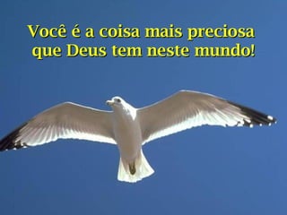 Você é a coisa mais preciosa
que Deus tem neste mundo!

 
