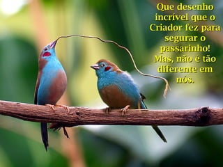 Que desenhoQue desenho
incrível que oincrível que o
Criador fez paraCriador fez para
segurar osegurar o
passarinho!passarinho!
Mas, não é tãoMas, não é tão
diferente emdiferente em
nós.nós.
 