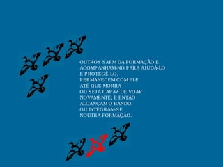 OUTROS SAEM DA FORMAÇÃO E
ACOMPANHAM-NO PARA AJUDÁ-LO
E PROTEGÊ-LO.
PERMANECEM COM ELE
ATÉ QUE MORRA
OU SEJA CAPAZ DE VOAR
NOVAMENTE; E ENTÃO
ALCANÇAM O BANDO,
OU INTEGRAM-SE
NOUTRA FORMAÇÃO.
 