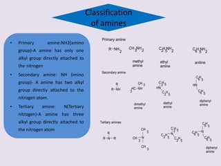 Classification
of amines
• Primary amine:NH2(amino
group)-A amine has only one
alkyl group directly attached to
the nitrogen
• Secondary amine: NH (imino
group)- A amine has two alkyl
group directly attached to the
nitrogen atom.
• Tertiary amine: N(Tertiary
nitrogen)-A amine has three
alkyl group directly attached to
the nitrogen atom
R NH
2
Primary amine
CH NH
3 2 C H NH
2 5 2 C H NH
6 5 2
methyl
amine
ethyl
amine
aniline
Secondary amine
C H
6 5
NH
R
R NH
CH
HC
3
3
HN
C H
2 5
C H
2 5
HN
C H
6 5
dimethyl
amine
diethyl
amine
diphenyl
amine
3
NCH
3
CH
3
CH
N
R
R R
N
C H
2 5
C H
2 5
C H
2 5
C H
6 5
N
C H
6 5
diphenyl
amine
C H
6 5
Tertiary amines
 