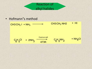 Aliphatic amines part i | PPTX