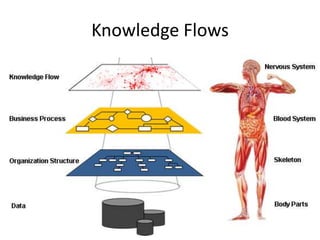 Knowledge Flows
 