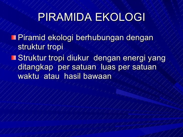 Aliran energi dan daur biogeokimia