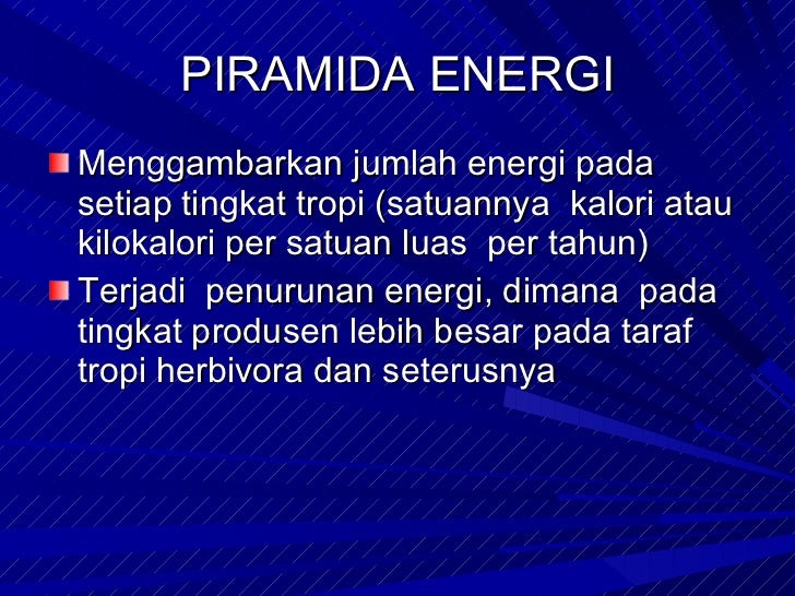 Aliran energi dan daur biogeokimia