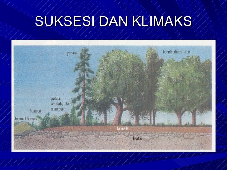 Aliran energi dan daur biogeokimia