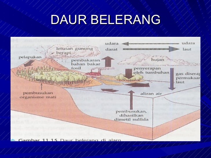 Aliran energi dan daur biogeokimia