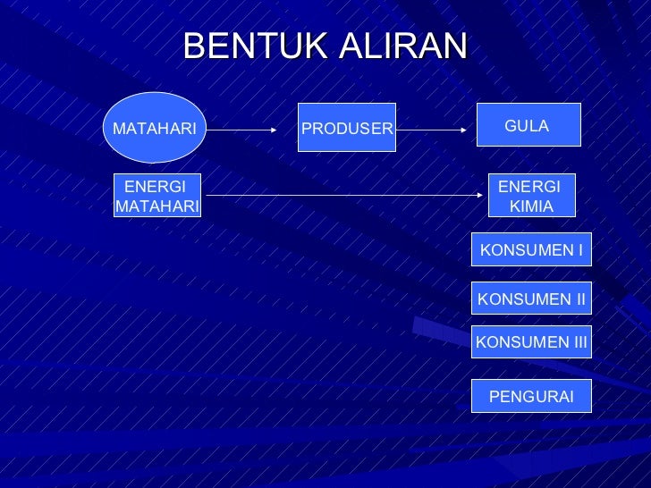 Aliran Energi Dan Daur Biogeokimia