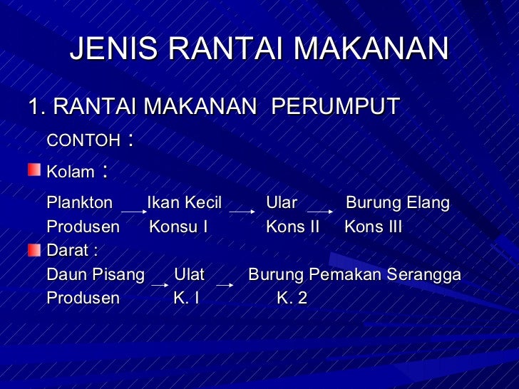 Aliran energi dan daur biogeokimia