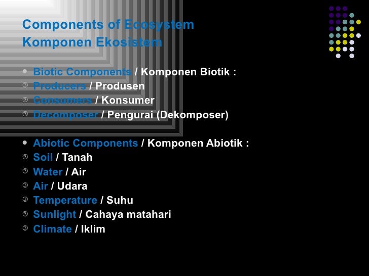 Aliran energi dan siklus kehidupan dalam ekosistem [kel 3 