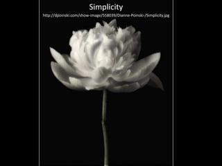 Simplicity
http://dpoinski.com/show-image/558039/Dianne-Poinski-/Simplicity.jpg