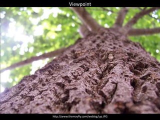 Viewpoint
http://www.themayfly.com/weblog/up.JPG