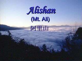 Alishan (Mt. Ali)   阿里山   