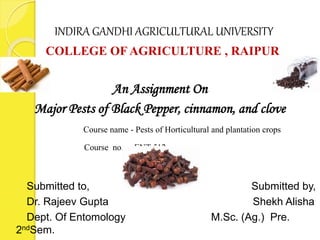 INDIRA GANDHI AGRICULTURAL UNIVERSITY
COLLEGE OF AGRICULTURE , RAIPUR
An Assignment On
Major Pests of Black Pepper, cinnamon, and clove
Course name - Pests of Horticultural and plantation crops
Course no. – ENT 512
Submitted to, Submitted by,
Dr. Rajeev Gupta Shekh Alisha
Dept. Of Entomology M.Sc. (Ag.) Pre.
2ndSem.
 