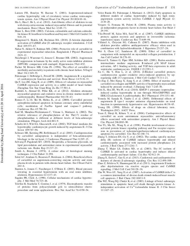 Aliskiren essay 08 image