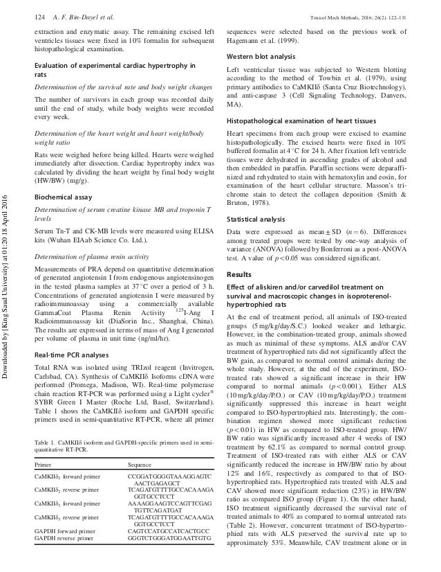 Aliskiren essay 07 image