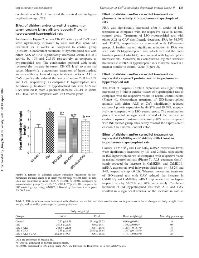 Aliskiren essay image