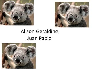 Alison Geraldine
Juan Pablo
 