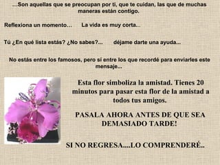 … Son aquellas que se preocupan por ti, que te cuidan, las que de muchas maneras están contigo.   Reflexiona un momento…   La vida es muy corta. .. Tú ¿En qué lista estás? ¿No sabes?...   déjame darte una ayuda...   No estás entre los famosos, pero sí entre los que recordé para enviarles este mensaje...  Esta flor simboliza la amistad. Tienes 20 minutos para pasar esta flor de la amistad a todos tus amigos.   PASALA AHORA ANTES DE QUE SEA DEMASIADO TARDE!   SI NO REGRESA....LO COMPRENDERÉ..   